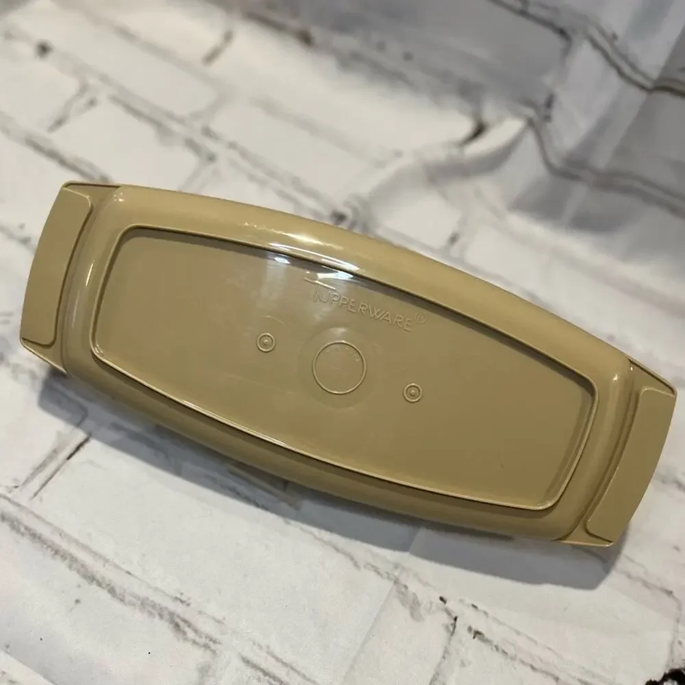 Tupperware Vintage Chip and Dip Tray